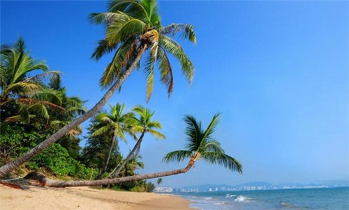 和萌牛肠烧烤和萌酒场