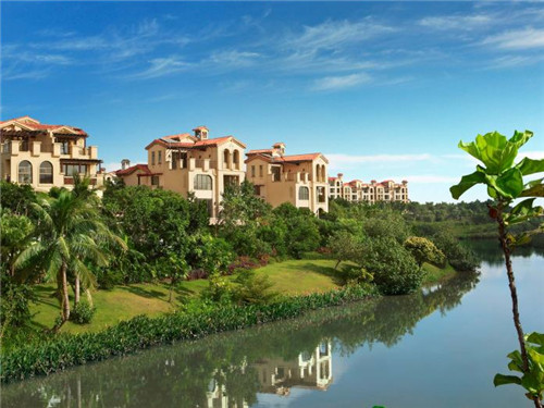 鲨鱼杰克小海鲜焖面