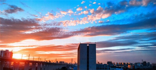 艾草月饼加盟费多少