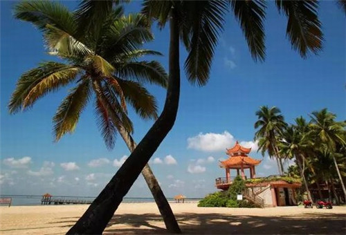 时尚甜品加盟店好不好做，加盟白下元宵铺开店什么地段好