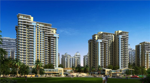 炒包菜怎么会有苦味儿（炒包菜为啥是苦的）