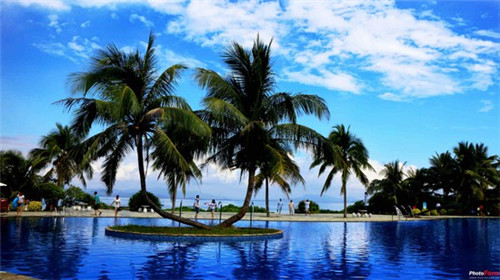 故宫御花园像什么景点（故宫御花园的样子）