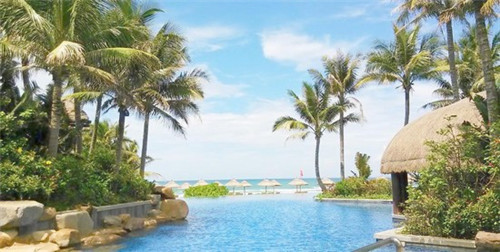 加盟西树泡芙收益怎么样