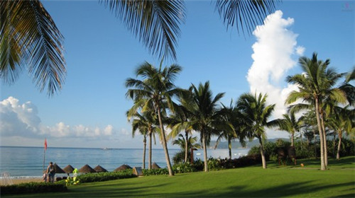 养蚕的十大禁忌蚕怕水吗（养蚕有哪些禁忌）