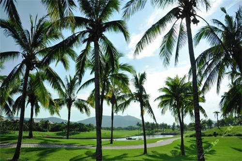 物业收物业费避税合法吗（收取物业费如何纳税）