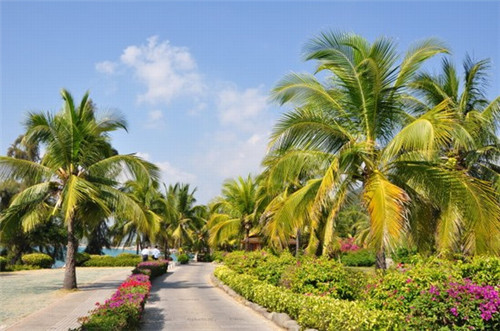 同普激光机（tonning激光）